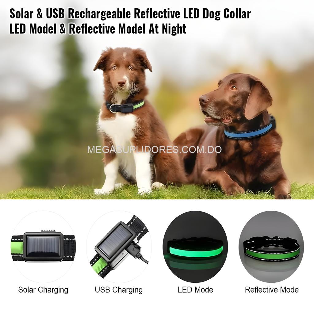 Collar para Perros Iluminado Solar LED - Seguridad Nocturna