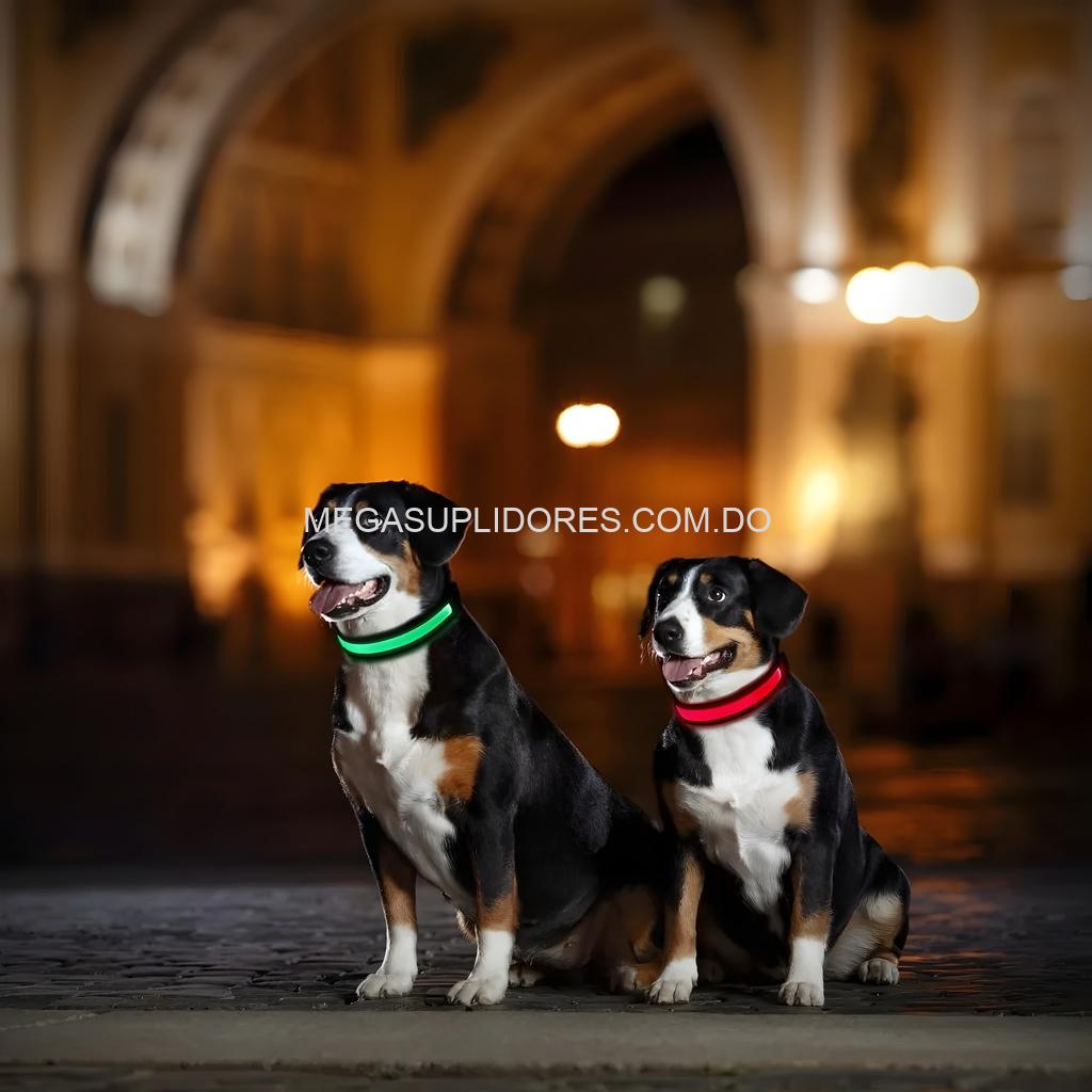 Collar para Perros Iluminado Solar LED - Seguridad Nocturna