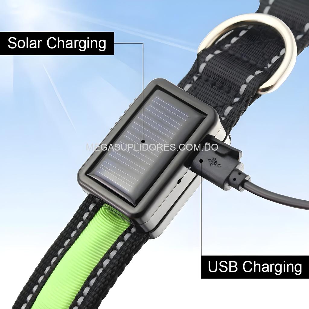 Collar para Perros Iluminado Solar LED - Seguridad Nocturna