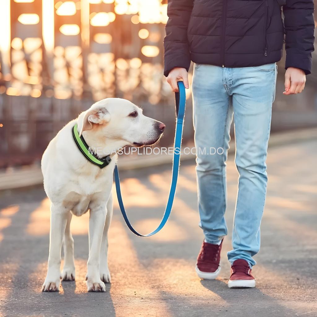 Collar para Perros Iluminado Solar LED - Seguridad Nocturna